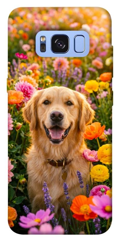 Чохол itsPrint Flowery labrador для Samsung G950 Galaxy S8, песики, купити оптом з доставкою