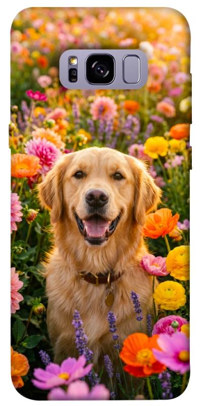 Чохол itsPrint Flowery labrador для Samsung G955 Galaxy S8 Plus, песики, купити оптом з доставкою