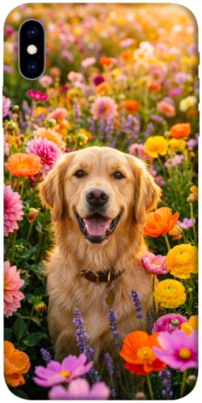 Чохол itsPrint Flowery labrador для Apple iPhone X (5.8"), песики, купити оптом з доставкою