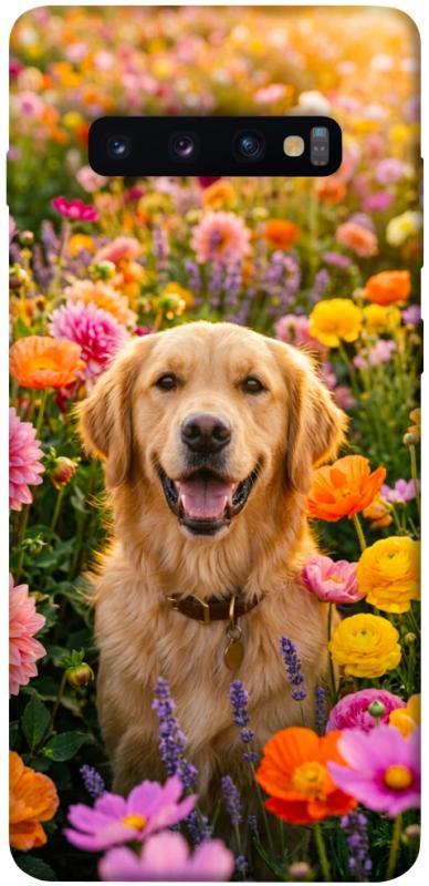 Чохол itsPrint Flowery labrador для Samsung Galaxy S10+, песики, купити оптом з доставкою
