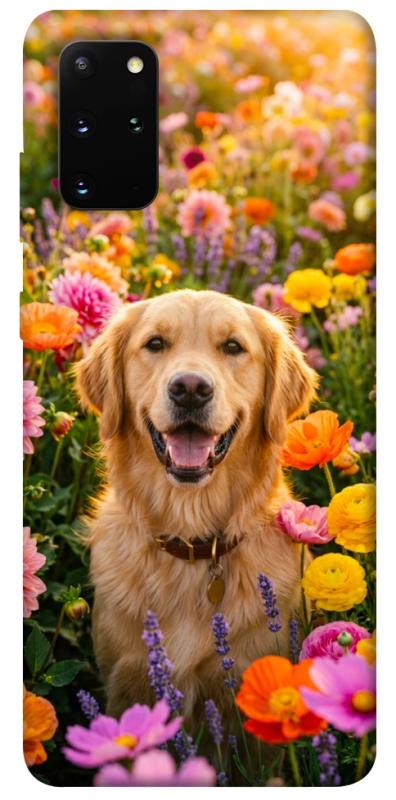 Чохол itsPrint Flowery labrador для Samsung Galaxy S20+, песики, купити оптом з доставкою