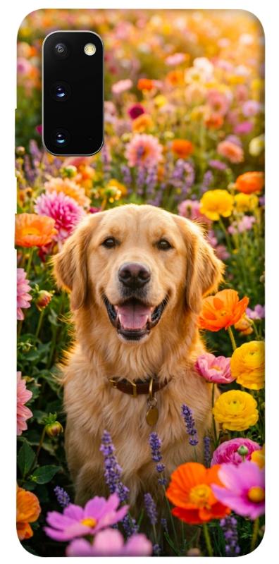Чохол itsPrint Flowery labrador для Samsung Galaxy S20, песики, купити оптом з доставкою
