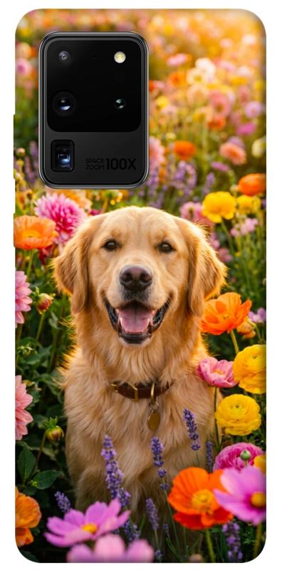 Чохол itsPrint Flowery labrador для Samsung Galaxy S20 Ultra, песики, купити оптом з доставкою