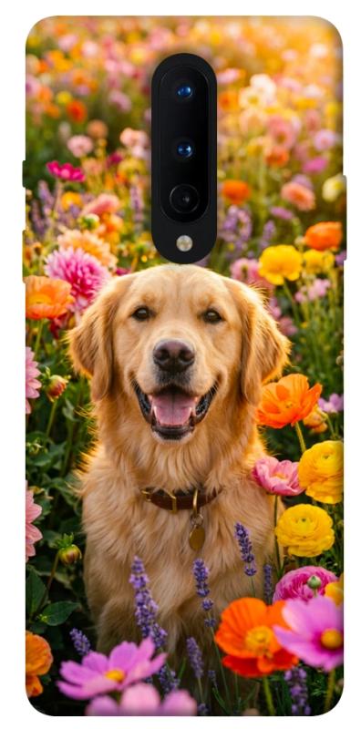 Чохол itsPrint Flowery labrador для OnePlus 8, песики, купити оптом з доставкою