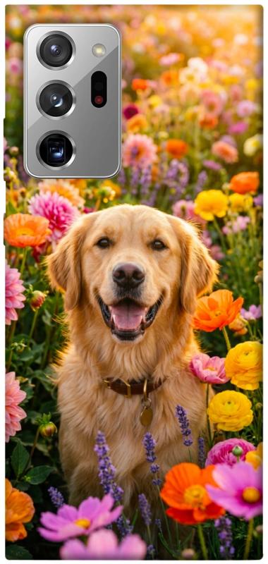 Чохол itsPrint Flowery labrador для Samsung Galaxy Note 20 Ultra, песики, купити оптом з доставкою