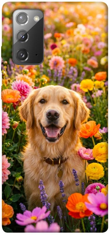 Чохол itsPrint Flowery labrador для Samsung Galaxy Note 20, песики, купити оптом з доставкою