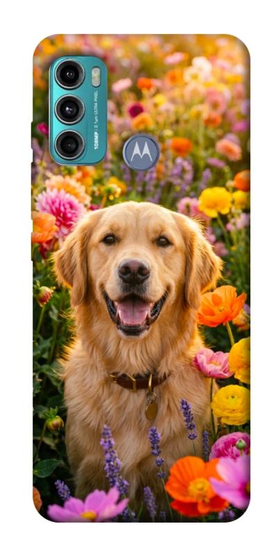 Чехол itsPrint Flowery labrador для Motorola Moto G60, песики, купить оптом с доставкой