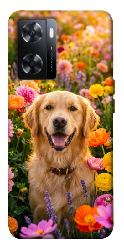 Чехол itsPrint Flowery labrador для OnePlus Nord N20 SE, песики, купить оптом с доставкой
