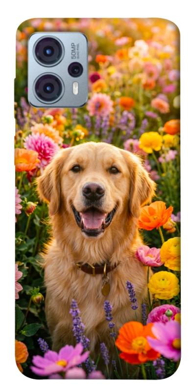 Чехол itsPrint Flowery labrador для Motorola Moto G23, песики, купить оптом с доставкой