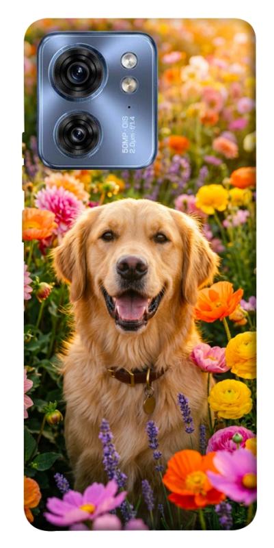 Чохол itsPrint Flowery labrador для Motorola Edge 40, песики, купити оптом з доставкою