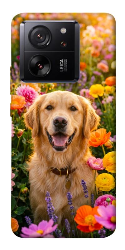 Чохол itsPrint Flowery labrador для Xiaomi 13T, песики, купити оптом з доставкою