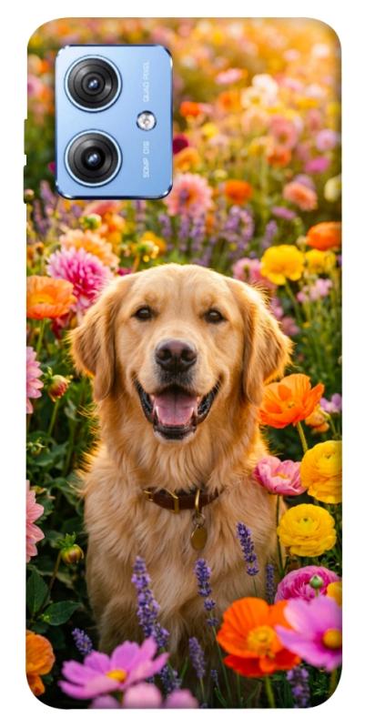 Чехол itsPrint Flowery labrador для Motorola Moto G84, песики, купить оптом с доставкой