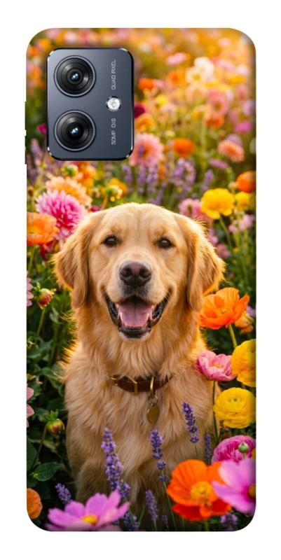 Чохол itsPrint Flowery labrador для Motorola Moto G54, песики, купити оптом з доставкою