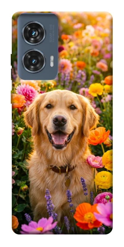 Чехол itsPrint Flowery labrador для Motorola Edge 50 Fusion, песики, купить оптом с доставкой