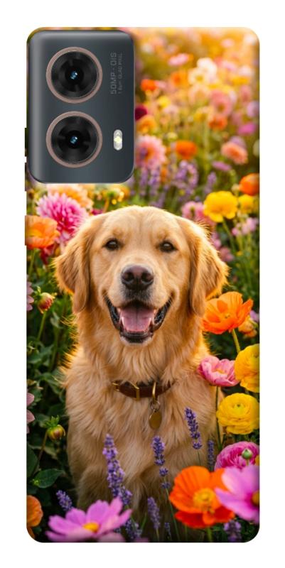 Чохол itsPrint Flowery labrador для Motorola Moto G85, песики, купити оптом з доставкою