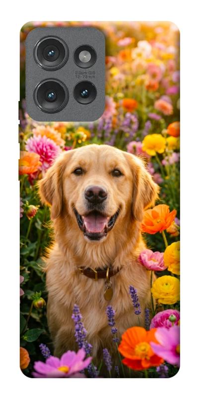 Чохол itsPrint Flowery labrador для Motorola Edge 50, песики, купити оптом з доставкою