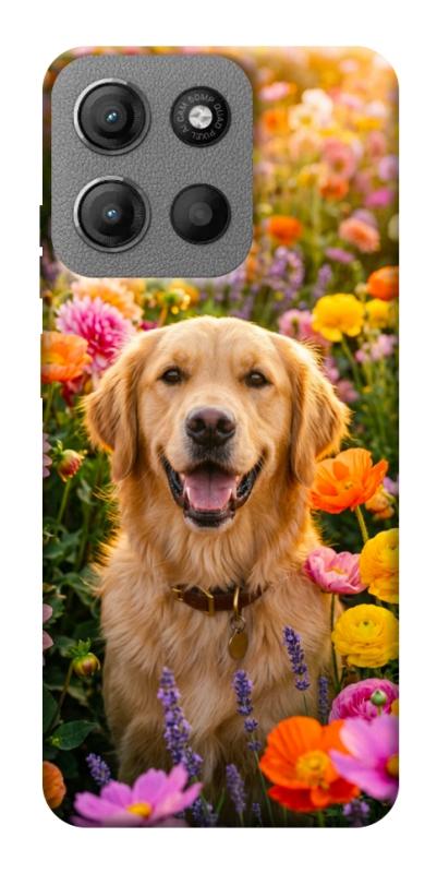 Чехол itsPrint Flowery labrador для Motorola Moto G15 4G, песики, купить оптом с доставкой
