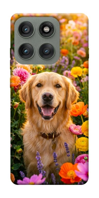 Чехол itsPrint Flowery labrador для Motorola Edge 60 Pro, песики, купить оптом с доставкой