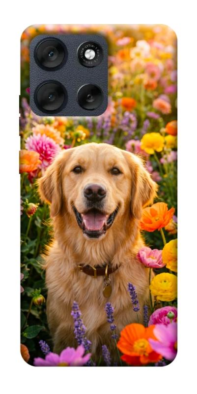 Чехол itsPrint Flowery labrador для Motorola Moto G56 5G, песики, купить оптом с доставкой