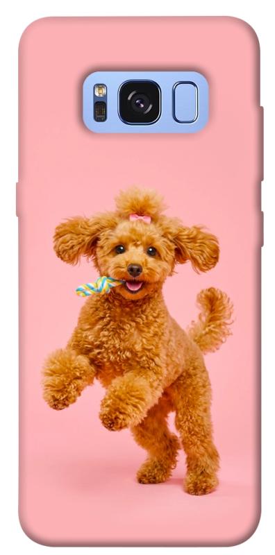 Чехол itsPrint Happy poodle для Samsung G950 Galaxy S8, песики, купить оптом с доставкой
