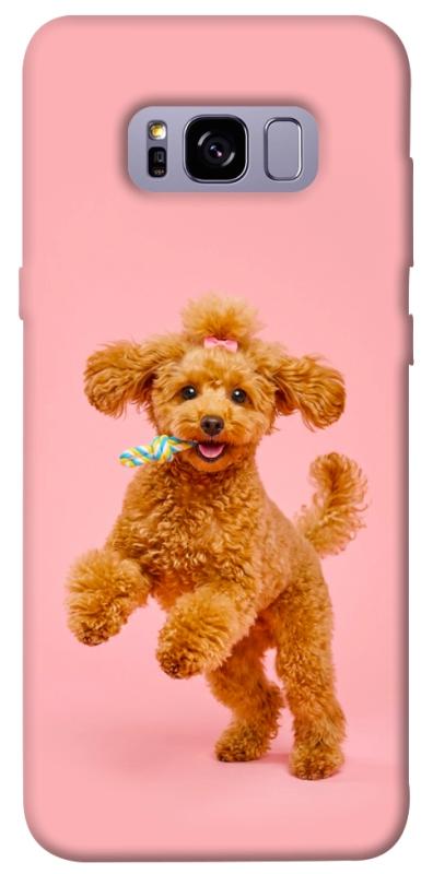 Чохол itsPrint Happy poodle для Samsung G955 Galaxy S8 Plus, песики, купити оптом з доставкою