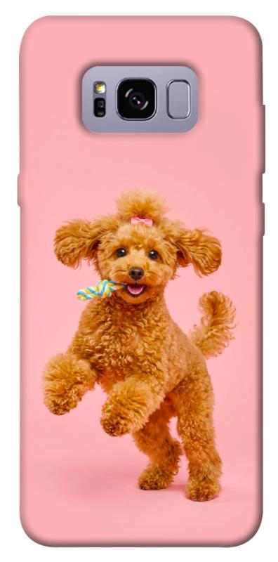 Чохол itsPrint Happy poodle для Samsung G955 Galaxy S8 Plus, песики, купити оптом з доставкою