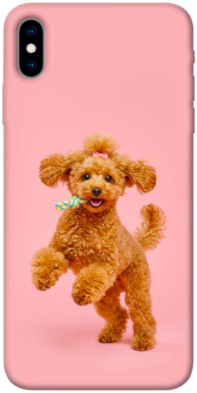 Чехол itsPrint Happy poodle для Apple iPhone X (5.8"), песики, купить оптом с доставкой