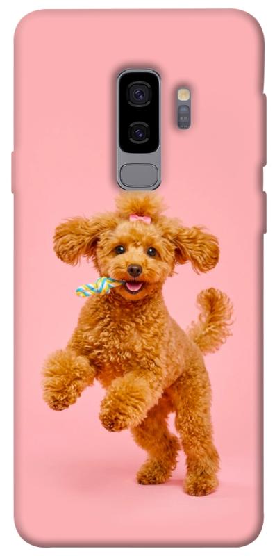 Чохол itsPrint Happy poodle для Samsung Galaxy S9+, песики, купити оптом з доставкою