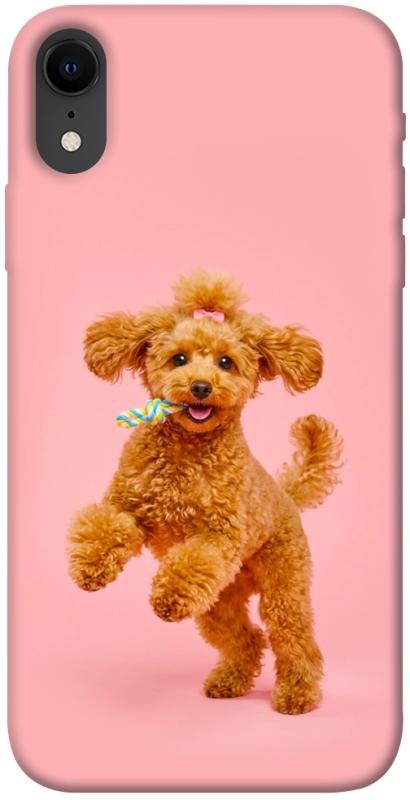 Чехол itsPrint Happy poodle для Apple iPhone XR (6.1"), песики, купить оптом с доставкой