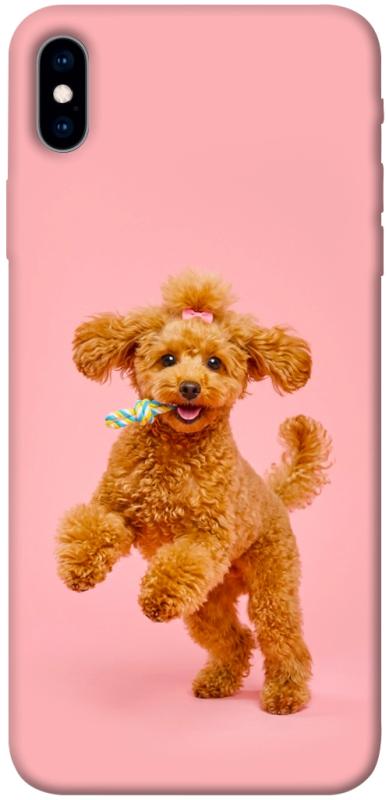 Чохол itsPrint Happy poodle для Apple iPhone XS Max (6.5"), песики, купити оптом з доставкою