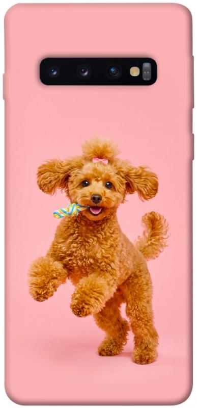 Чехол itsPrint Happy poodle для Samsung Galaxy S10, песики, купить оптом с доставкой