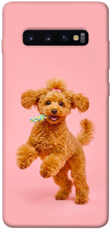 Чохол itsPrint Happy poodle для Samsung Galaxy S10+, песики, купити оптом з доставкою