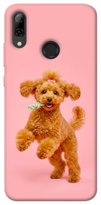 Чохол itsPrint Happy poodle для Huawei P Smart (2019), песики, купити оптом з доставкою