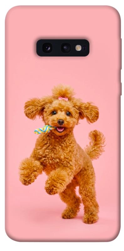 Чохол itsPrint Happy poodle для Samsung Galaxy S10e, песики, купити оптом з доставкою
