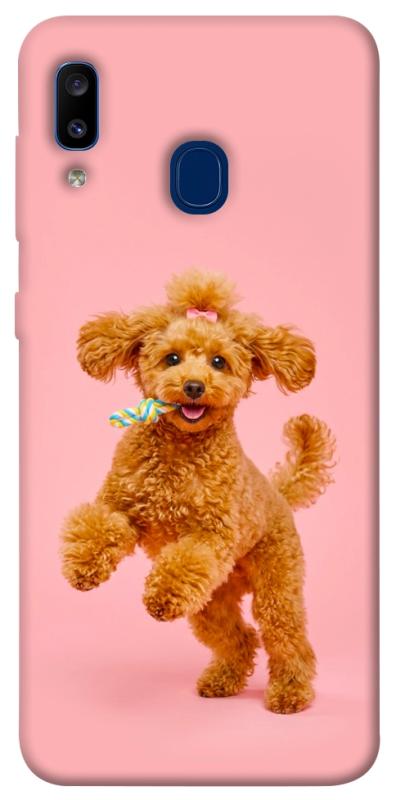 Чохол itsPrint Happy poodle для Samsung Galaxy A20 / A30, песики, купити оптом з доставкою