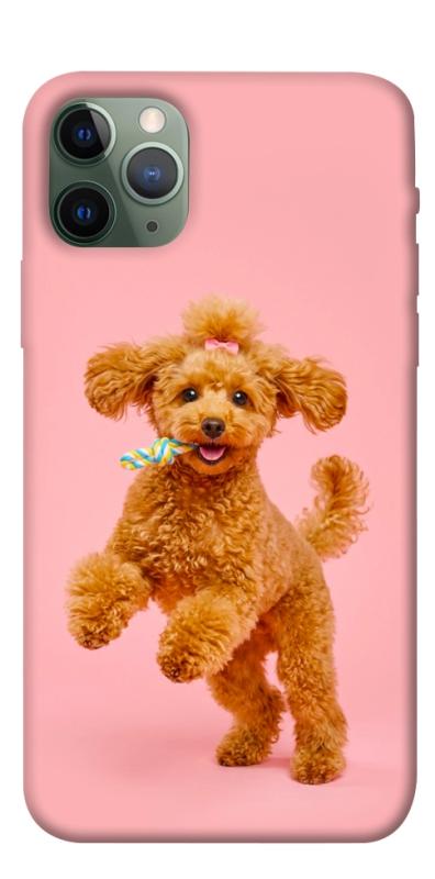 Чехол itsPrint Happy poodle для Apple iPhone 11 Pro (5.8"), песики, купить оптом с доставкой