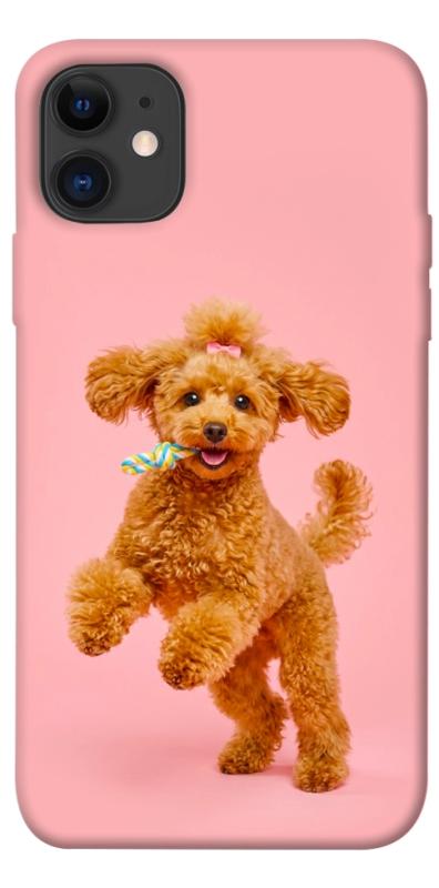 Чохол itsPrint Happy poodle для Apple iPhone 11 (6.1"), песики, купити оптом з доставкою