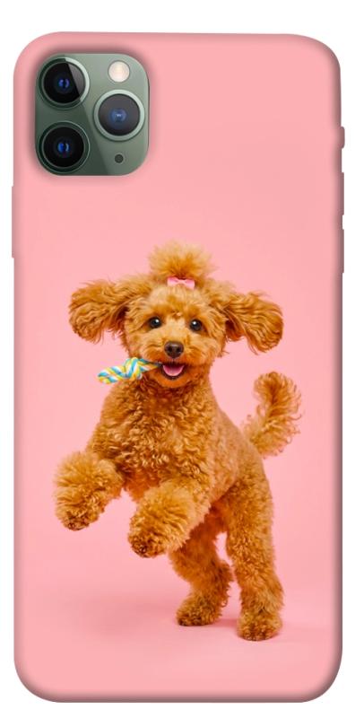Чохол itsPrint Happy poodle для Apple iPhone 11 Pro Max (6.5"), песики, купити оптом з доставкою