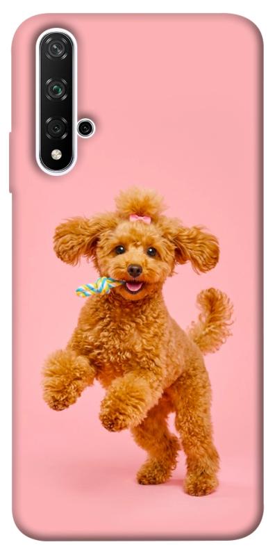 Чохол itsPrint Happy poodle для Huawei Honor 20 / Nova 5T, песики, купити оптом з доставкою