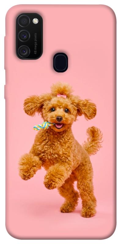 Чохол itsPrint Happy poodle для Samsung Galaxy M30s / M21, песики, купити оптом з доставкою
