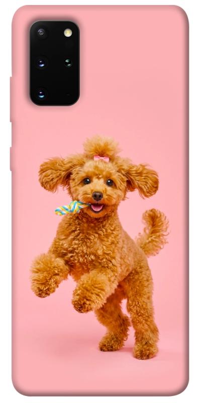 Чехол itsPrint Happy poodle для Samsung Galaxy S20+, песики, купить оптом с доставкой