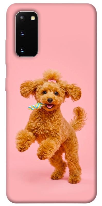 Чехол itsPrint Happy poodle для Samsung Galaxy S20, песики, купить оптом с доставкой