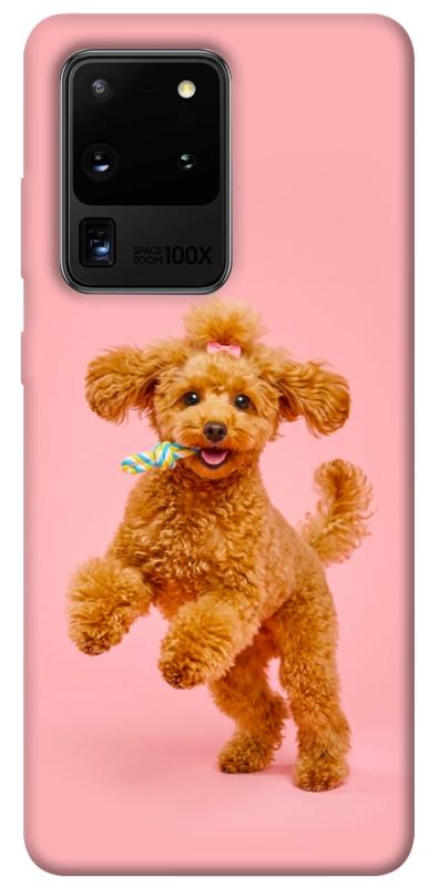 Чохол itsPrint Happy poodle для Samsung Galaxy S20 Ultra, песики, купити оптом з доставкою