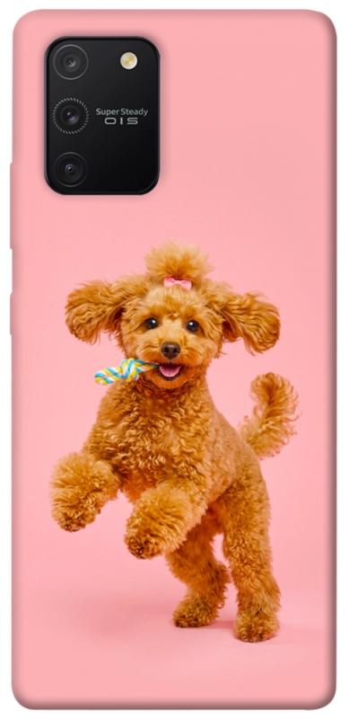 Чехол itsPrint Happy poodle для Samsung Galaxy S10 Lite, песики, купить оптом с доставкой