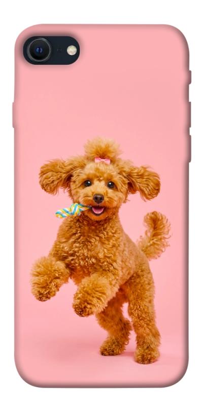 Чехол itsPrint Happy poodle для Apple iPhone SE (2020), песики, купить оптом с доставкой