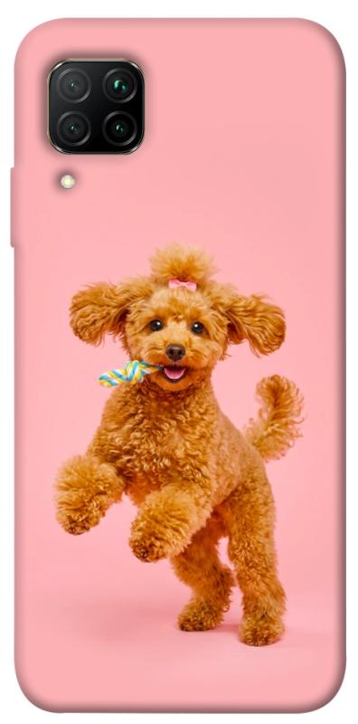Чохол itsPrint Happy poodle для Huawei P40 Lite, песики, купити оптом з доставкою
