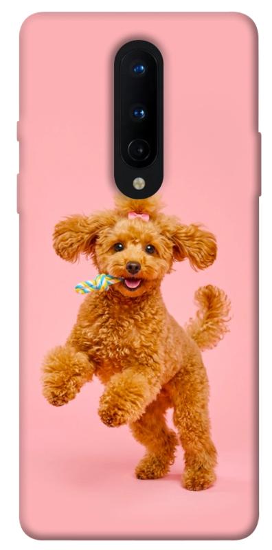 Чохол itsPrint Happy poodle для OnePlus 8, песики, купити оптом з доставкою