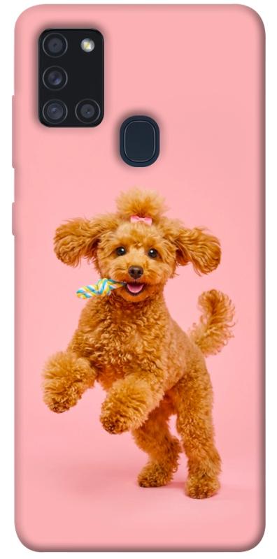 Чехол itsPrint Happy poodle для Samsung Galaxy A21s, песики, купить оптом с доставкой