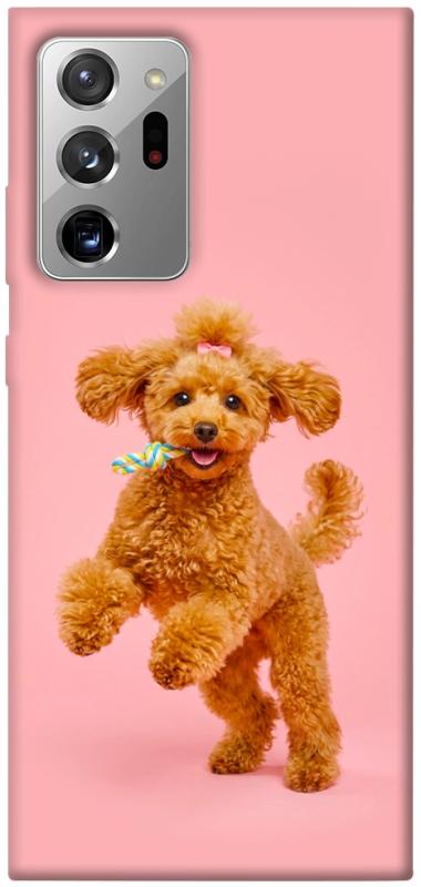 Чохол itsPrint Happy poodle для Samsung Galaxy Note 20 Ultra, песики, купити оптом з доставкою