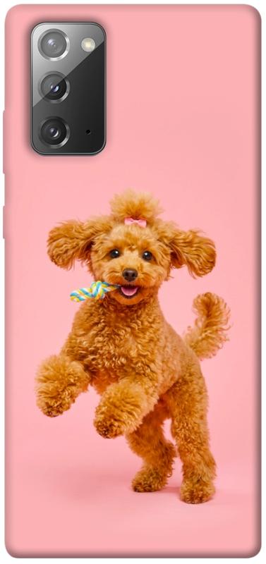 Чохол itsPrint Happy poodle для Samsung Galaxy Note 20, песики, купити оптом з доставкою